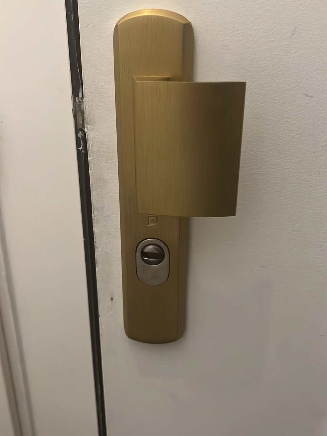 Nouvelle poignée de porte blindée laiton brossé avec protège-cylindre haute sécurité, finition Tordjman Métal